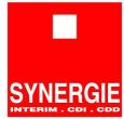 Logo Synergie TT